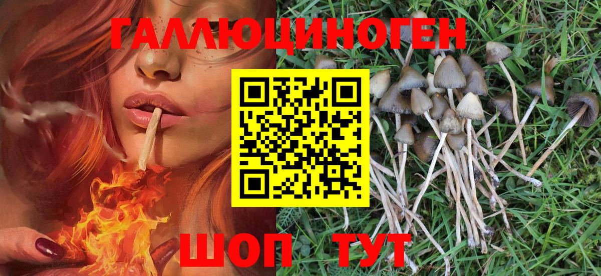 Псилоцибиновые грибы Psilocybe  Галлюциногенные грибы Psilocybine cubensis  Вход с VPN  Котовск 